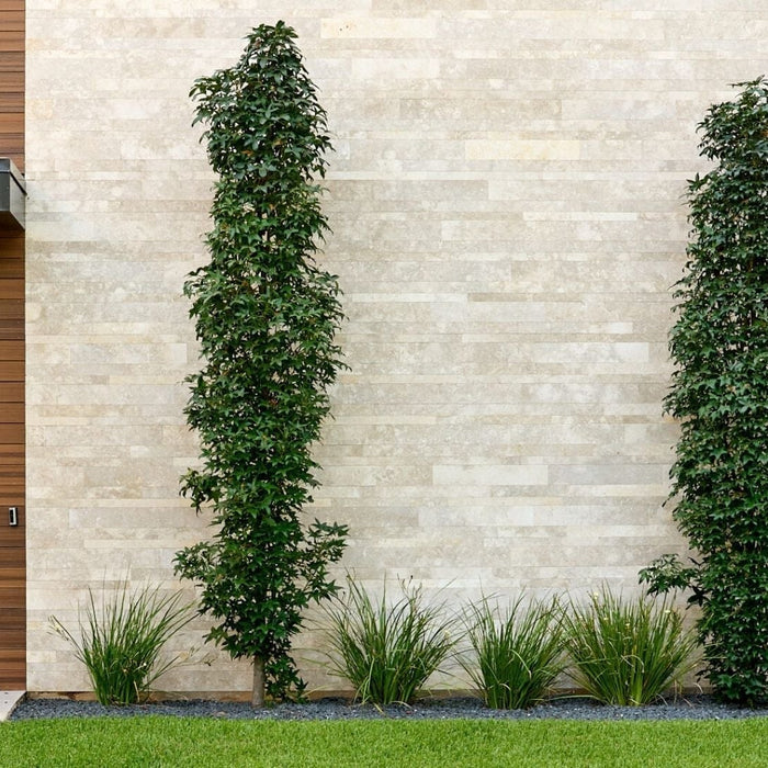 How to Use Natural Stone Veneer in Garden Wall Design?