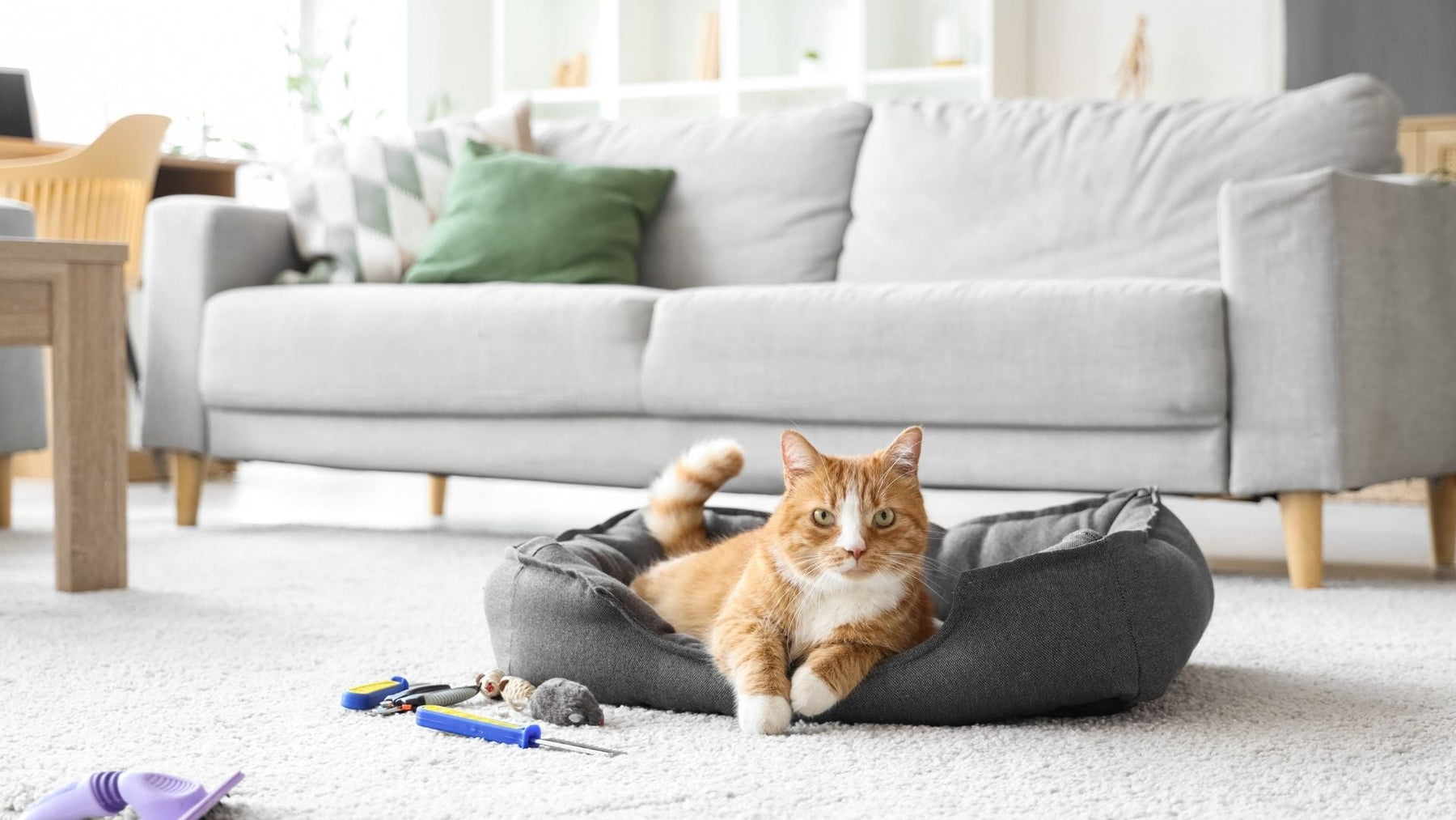 Is White Oak Flooring Pet Friendly? Pros & Care