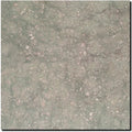 Seagrass Limestone Tile 12x12 Honed