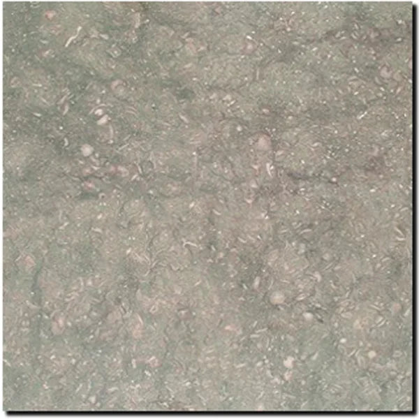 Seagrass Limestone Tile 12x12 Honed