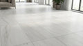 Dolomite White Marble Tile 12x24 Honed