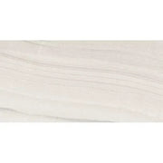 Legend Vison 12x24 Porcelain Tile