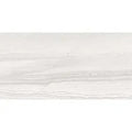 Legend Vison 12x24 Porcelain Tile