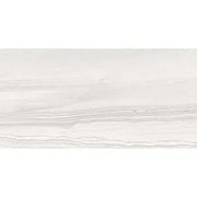 Legend Vison 12x24 Porcelain Tile