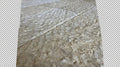 Shell Stone Limestone Veneer 12x24 Splitface
