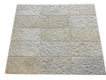 Shell Stone Limestone Veneer 12x24 Splitface