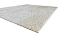 Shell Stone Limestone Veneer 12x24 Splitface
