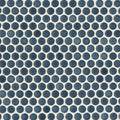 360 Lagoon 3/4 Penny Rnds 12x12 Gloss Glass Mosaic