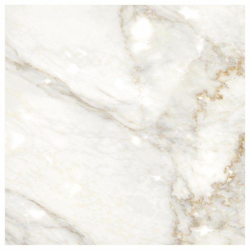 Calacatta Gold (Italian) Marble 24x24 Polished Tile
