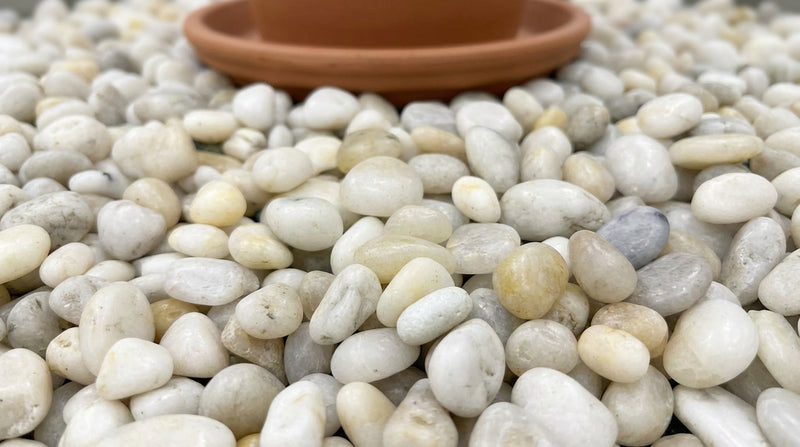 White Stone Polished 1.2 - 1.6CM (1/2 - 5/8 Inch) Small White Ultra Pebbles