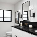 Absolute Black 2cm Polished/Honed Granite Slab