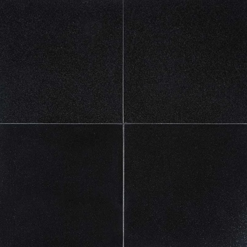 Absolute India Black 12x12 Polished Granite Tile