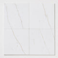 Afyon Sugar 18x18 Polished Veined Marble Tile close-up