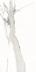 AGL Apia Orange 12x24 Polished Porcelain Tile