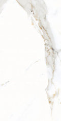 AGL Apia Orange 12x24 Polished Porcelain Tile
