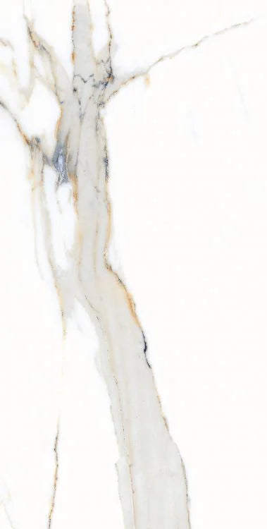 AGL Apia Orange 12x24 Matte Porcelain Tile