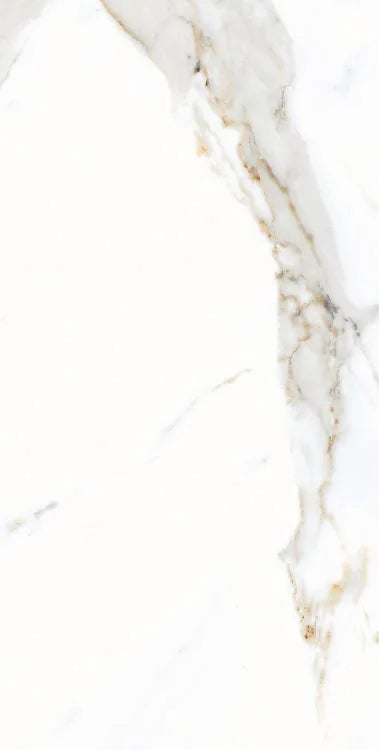 AGL Apia Orange 12x24 Matte Porcelain Tile