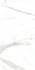 AGL Apia Orange 24x48 Polished Porcelain Tile