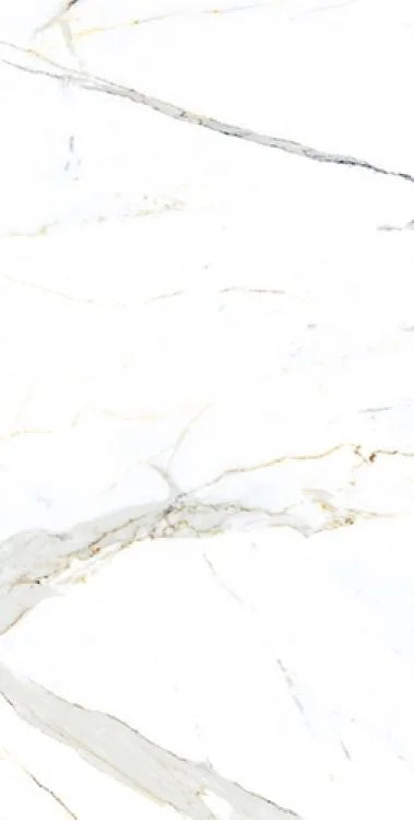 AGL Apia Orange 24x48 Polished Porcelain Tile