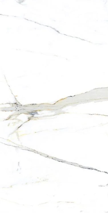 AGL Apia Orange 24x48 Matte Porcelain Tile