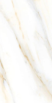 AGL Calacatta Gold 12x24 Matte Marble Look Porcelain Tile