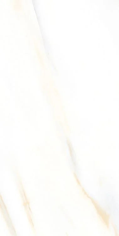 AGL Calacatta Gold 12x24 Matte Marble Look Porcelain Tile