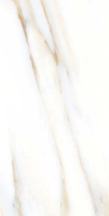 AGL Calacatta Gold 12x24 Matte Marble Look Porcelain Tile