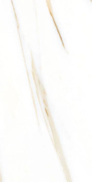 AGL Calacatta Gold 12x24 Matte Marble Look Porcelain Tile