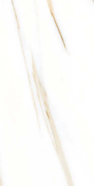 AGL Calacatta Gold 12x24 Matte Marble Look Porcelain Tile