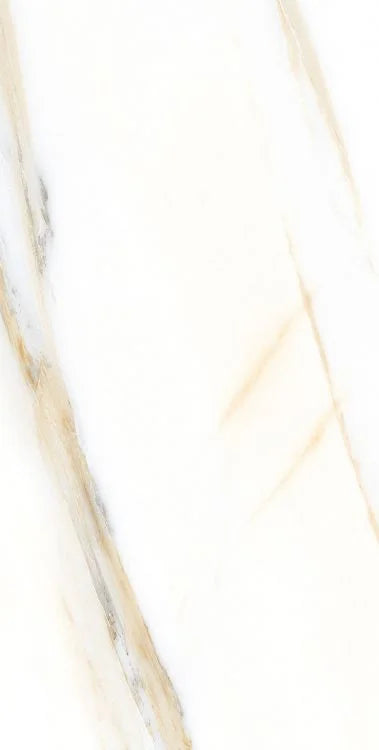 AGL Calacatta Gold 12x24 Polished Marble Look Porcelain Tile