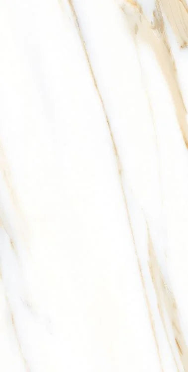 AGL Calacatta Gold 12x24 Polished Marble Look Porcelain Tile