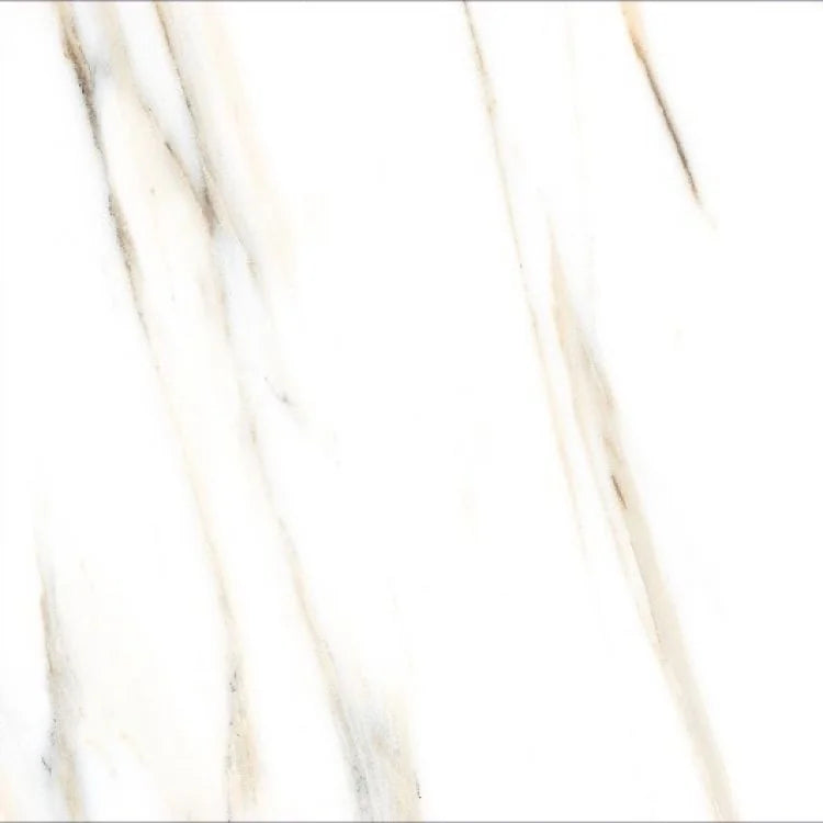 AGL Calacatta Gold 24x24 Polished Marble Look Porcelain Tile