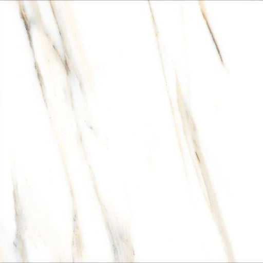 AGL Calacatta Gold 24x24 Polished Marble Look Porcelain Tile