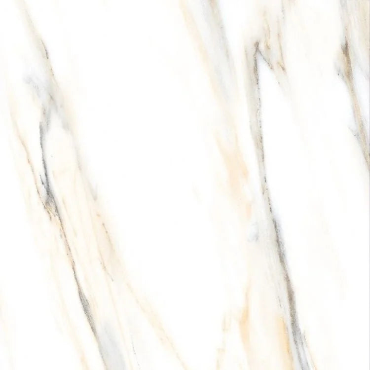 AGL Calacatta Gold 24x24 Polished Marble Look Porcelain Tile