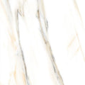 AGL Calacatta Gold 24x24 Polished Marble Look Porcelain Tile