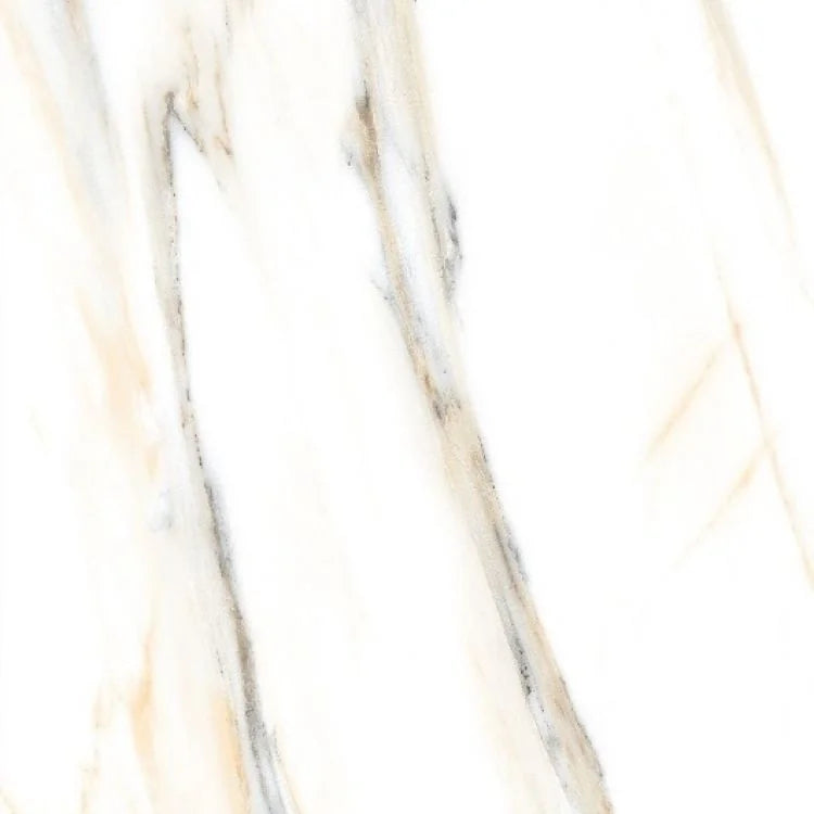 AGL Calacatta Gold 24x24 Polished Marble Look Porcelain Tile