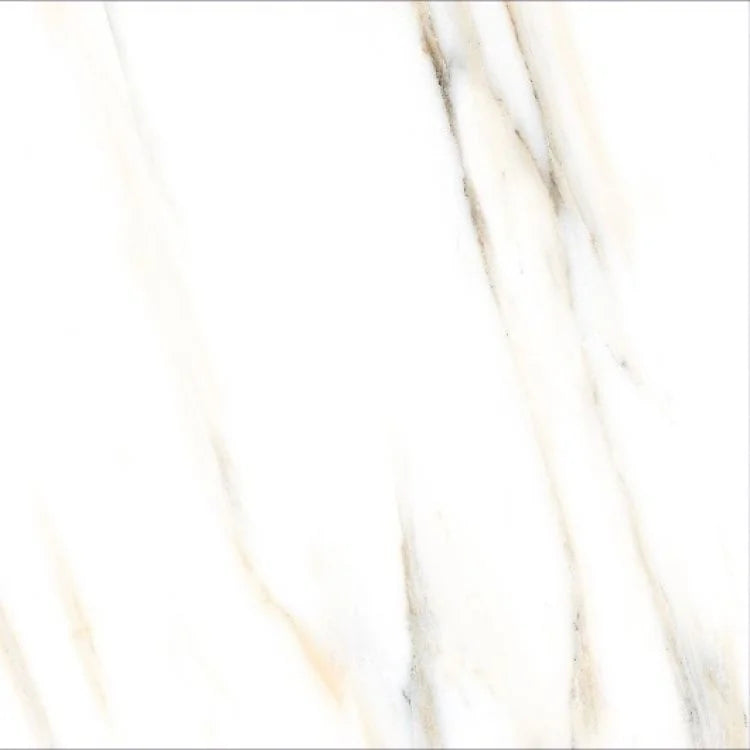 AGL Calacatta Gold 24x24 Polished Marble Look Porcelain Tile