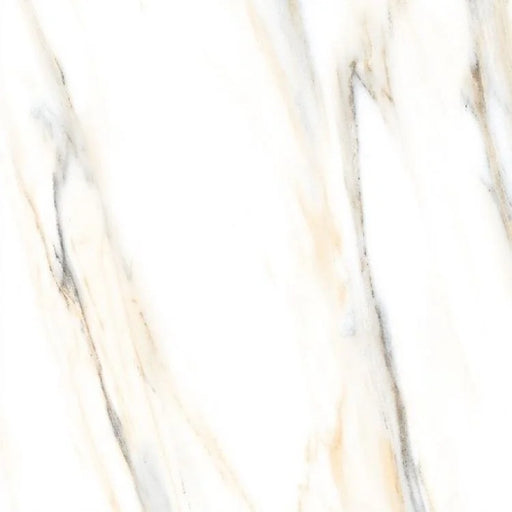 AGL Calacatta Gold 24x24 Polished Marble Look Porcelain Tile