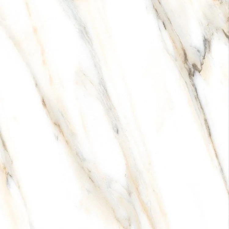 AGL Calacatta Gold 24x24 Polished Marble Look Porcelain Tile
