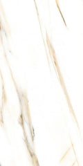AGL Calacatta Gold 24x48 Matte Marble Look Porcelain Tile