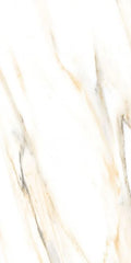 AGL Calacatta Gold 24x48 Matte Marble Look Porcelain Tile