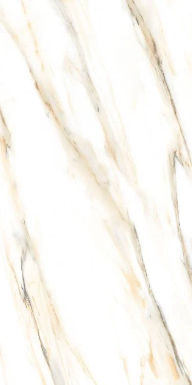 AGL Calacatta Gold 24x48 Polished Marble Look Porcelain Tile