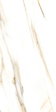 AGL Calacatta Gold 24x48 Polished Marble Look Porcelain Tile