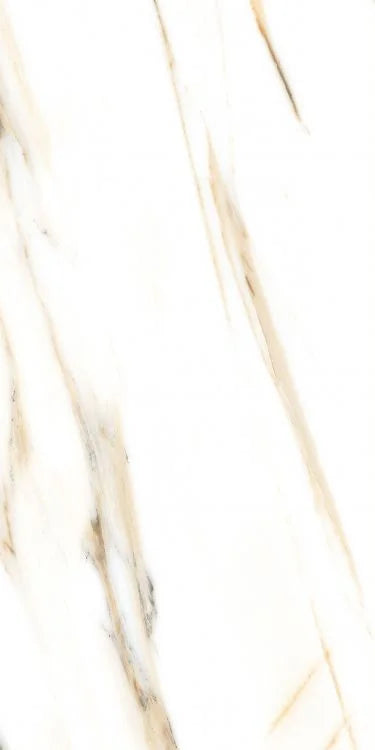 AGL Calacatta Gold 24x48 Polished Marble Look Porcelain Tile