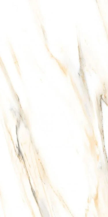 AGL Calacatta Gold 24x48 Polished Marble Look Porcelain Tile
