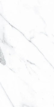 AGL Carrara 12x24 Polished Marble Look Porcelain Tile