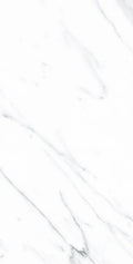 AGL Carrara 12x24 Polished Marble Look Porcelain Tile