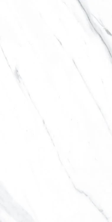 AGL Carrara 12x24 Matte Marble Look Porcelain Tile