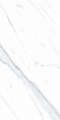 AGL Carrara 12x24 Matte Marble Look Porcelain Tile