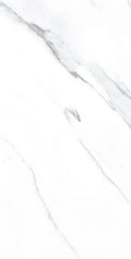AGL Carrara 12x24 Matte Marble Look Porcelain Tile